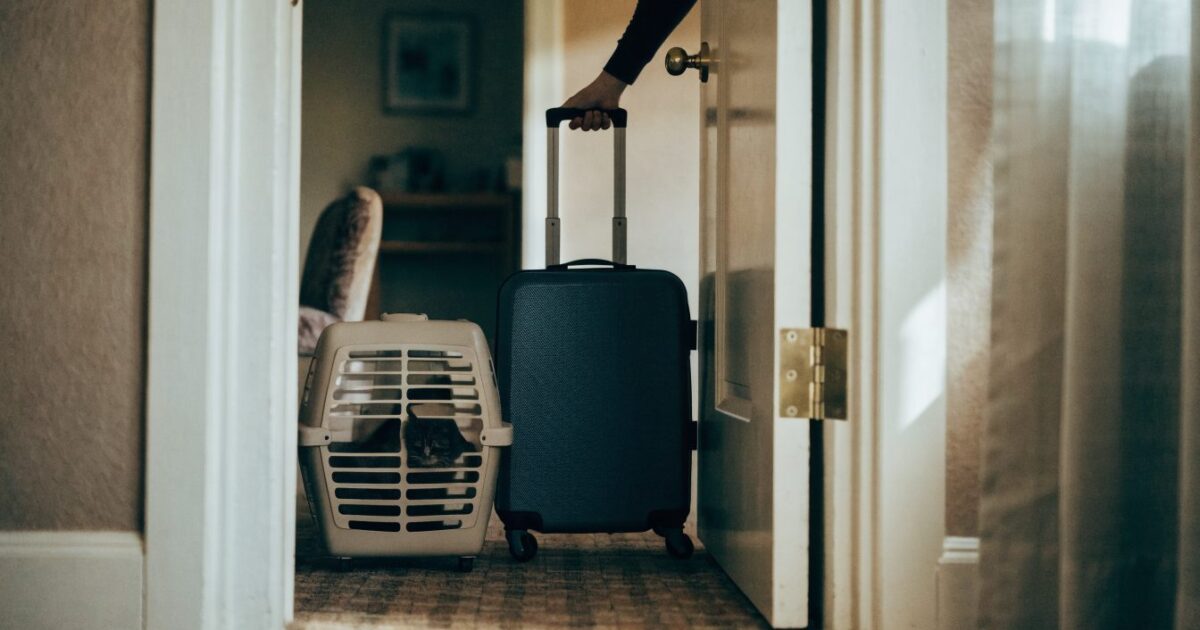 Frais d'évacuation : qui paie l'hôtel, les repas et les animaux