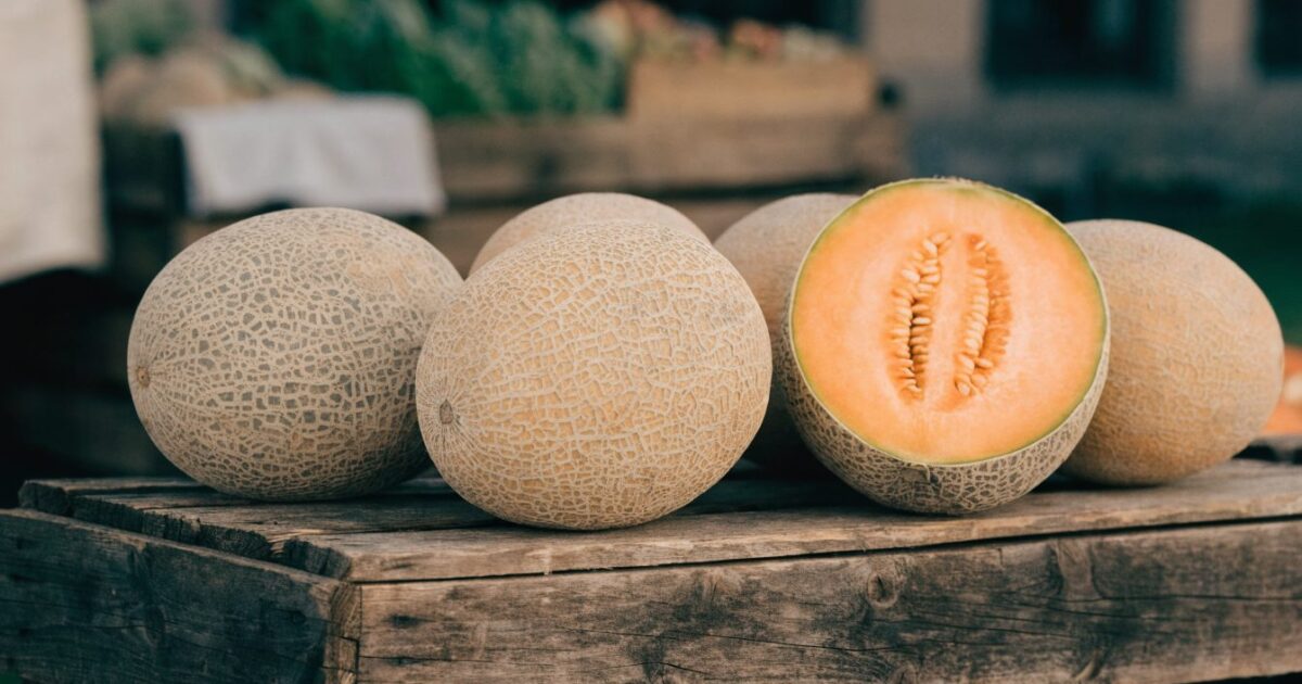 Rappel de melons au cadmium chez Carrefour : lots et conduite à tenir