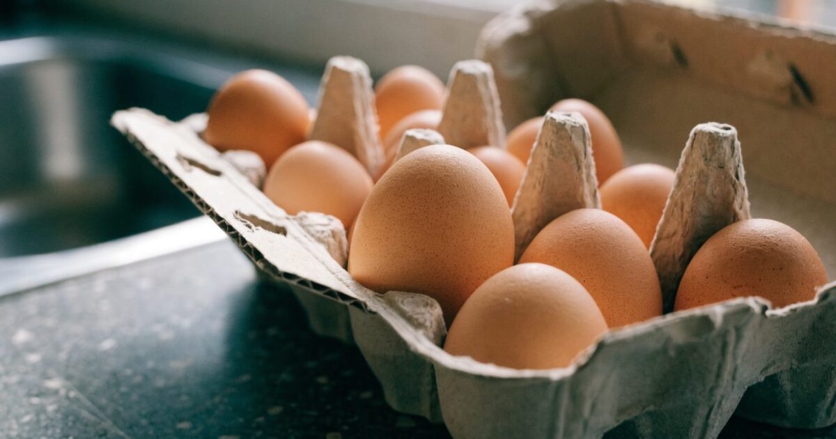Rappel d'œufs à la salmonelle chez Lidl : vérifier sa boîte
