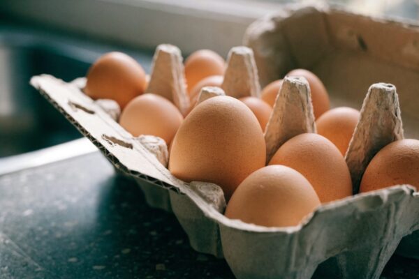 Rappel d'œufs à la salmonelle chez Lidl : vérifier sa boîte