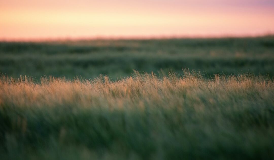 Dans la Loire, le kit Ecopra buveur d'air promet des économies de carburant, mode d'emploi et limites